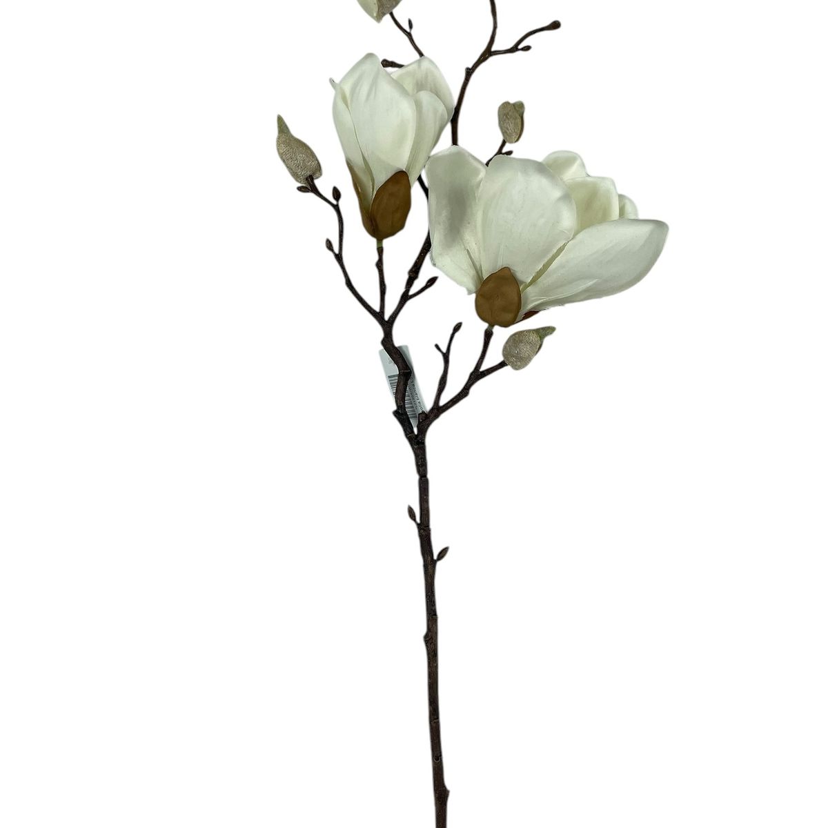 COREL - Magnolia Blanca 50cm Artificial - Estilo Natural para Interiores y Vitrinas