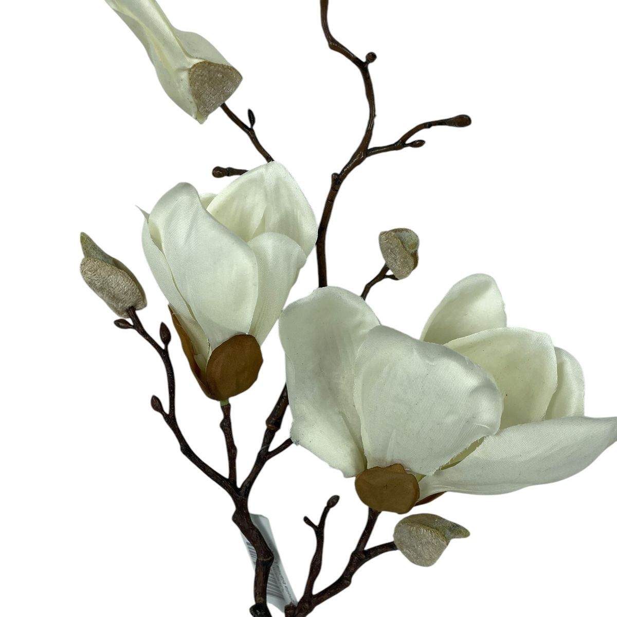 COREL - Magnolia Blanca 50cm Artificial - Estilo Natural para Interiores y Vitrinas