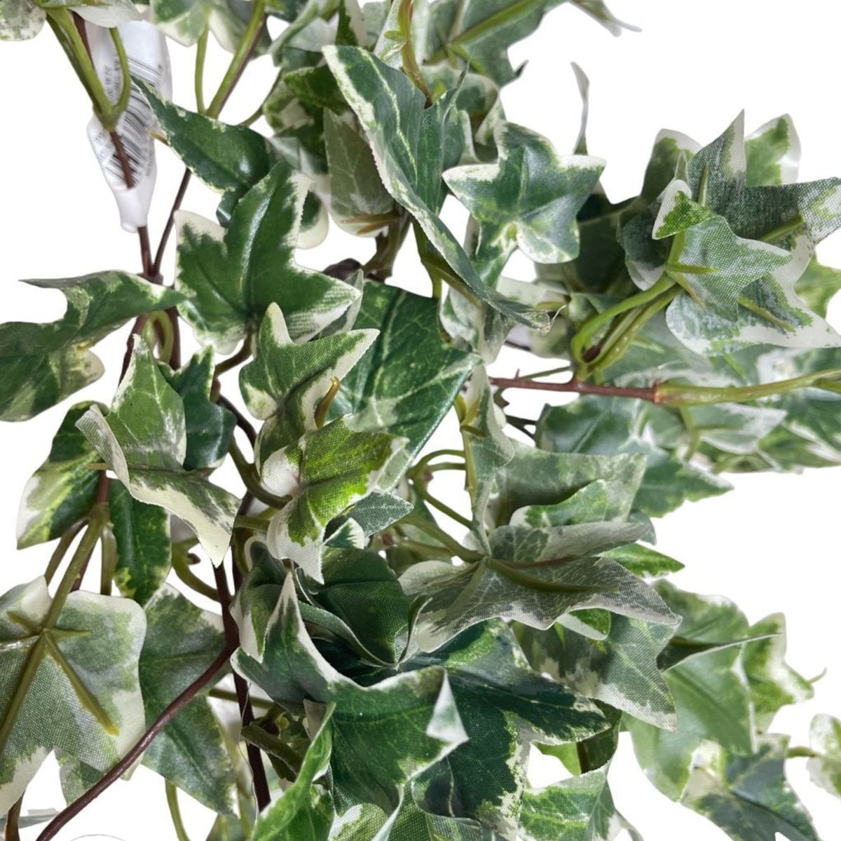 COREL - Mini Hiedra Inglesa Variegada 30cm Artificial - Estilo Natural para Interiores y Vitrinas