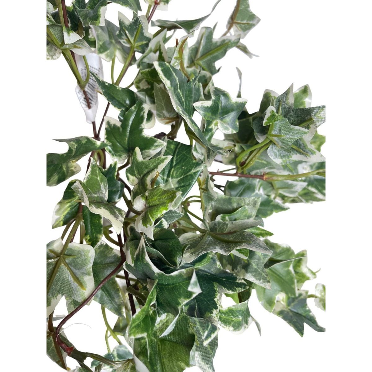 COREL - Mini Hiedra Inglesa Variegada 30cm Artificial - Estilo Natural para Interiores y Vitrinas