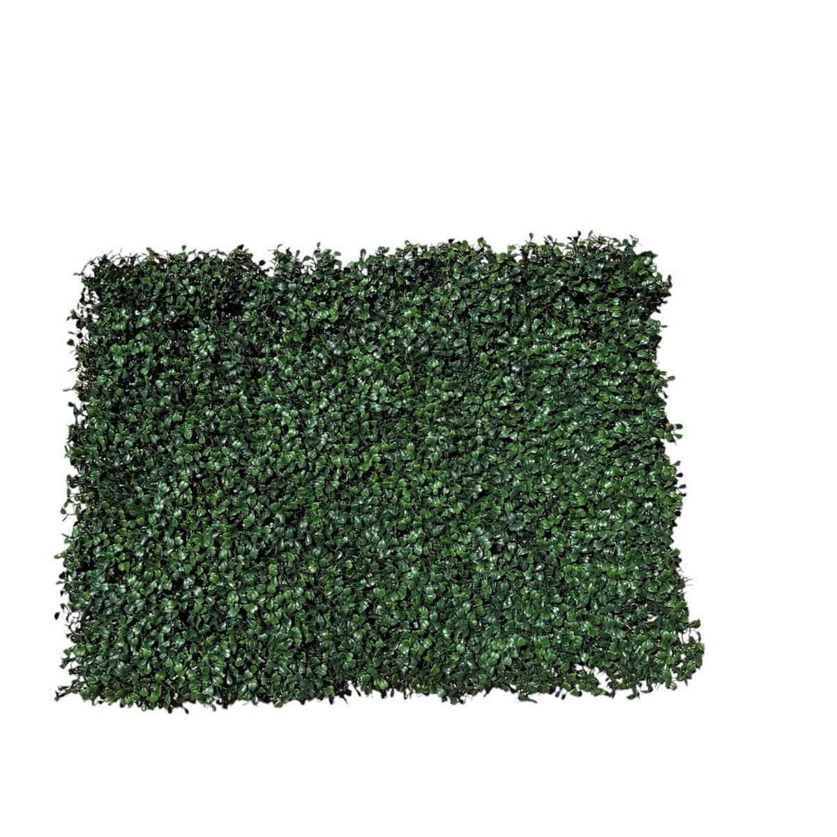 COREL - Palmeta Boxwood UV Artificial - Estilo Natural para Interiores y Vitrinas