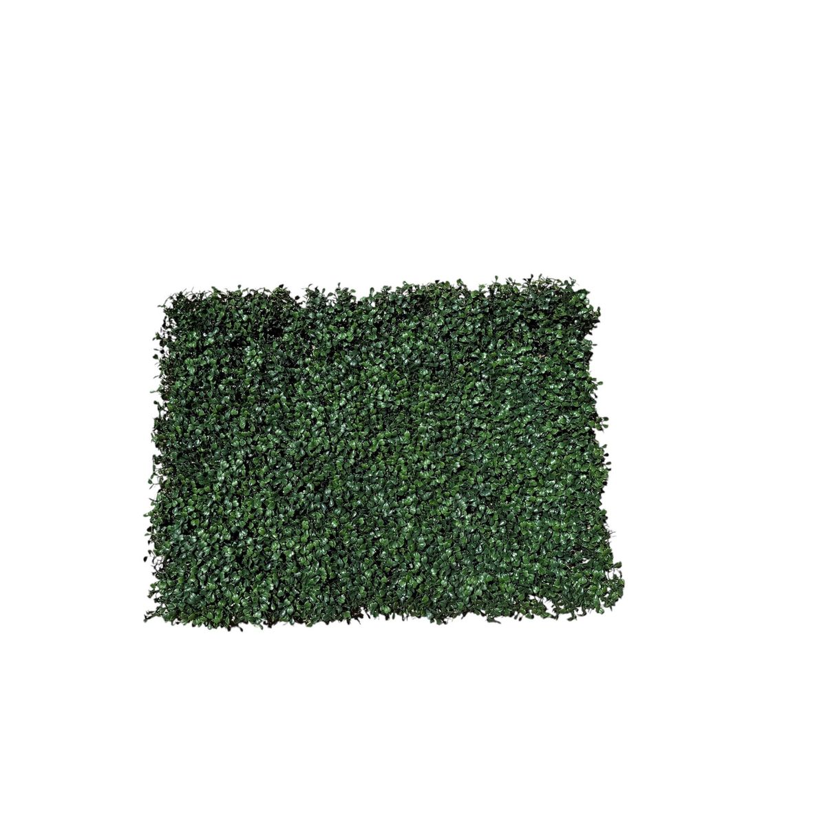 COREL - Palmeta Boxwood UV Artificial - Estilo Natural para Interiores y Vitrinas