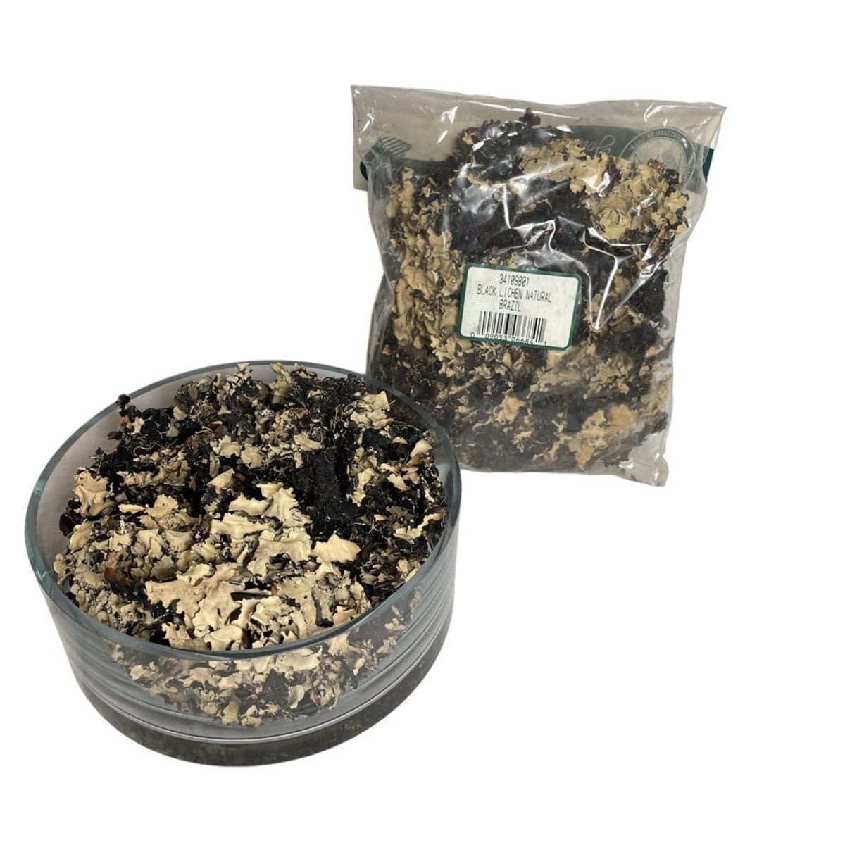 COREL - Paquete de Musgo Liquen Artificial Artificial - Estilo Natural para Interiores y Vitrinas