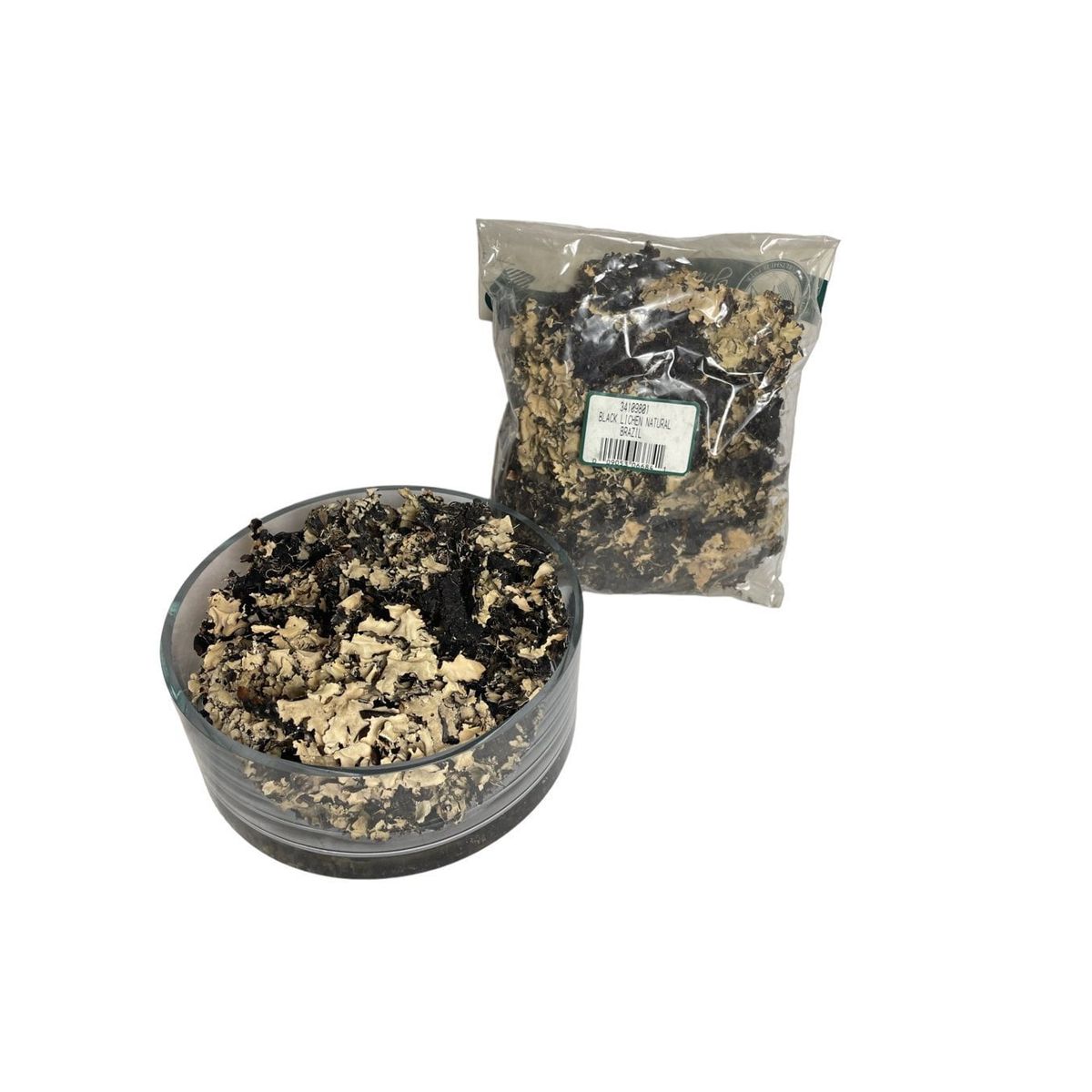 COREL - Paquete de Musgo Liquen Artificial Artificial - Estilo Natural para Interiores y Vitrinas