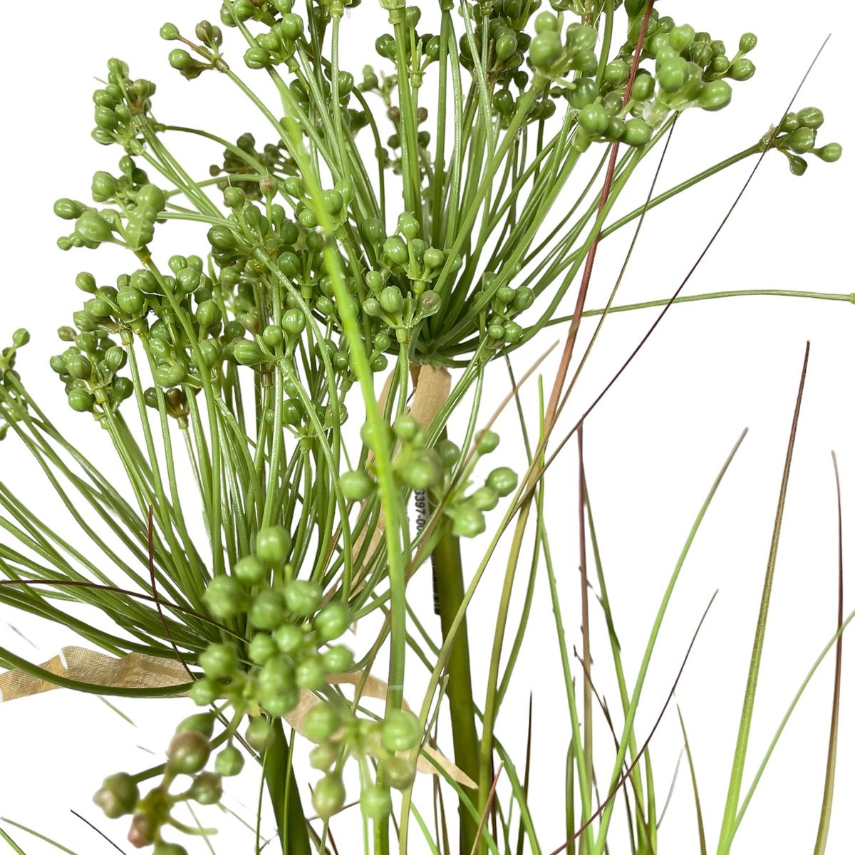 COREL - Pasto Angelica 81cm Artificial - Estilo Natural para Interiores y Vitrinas