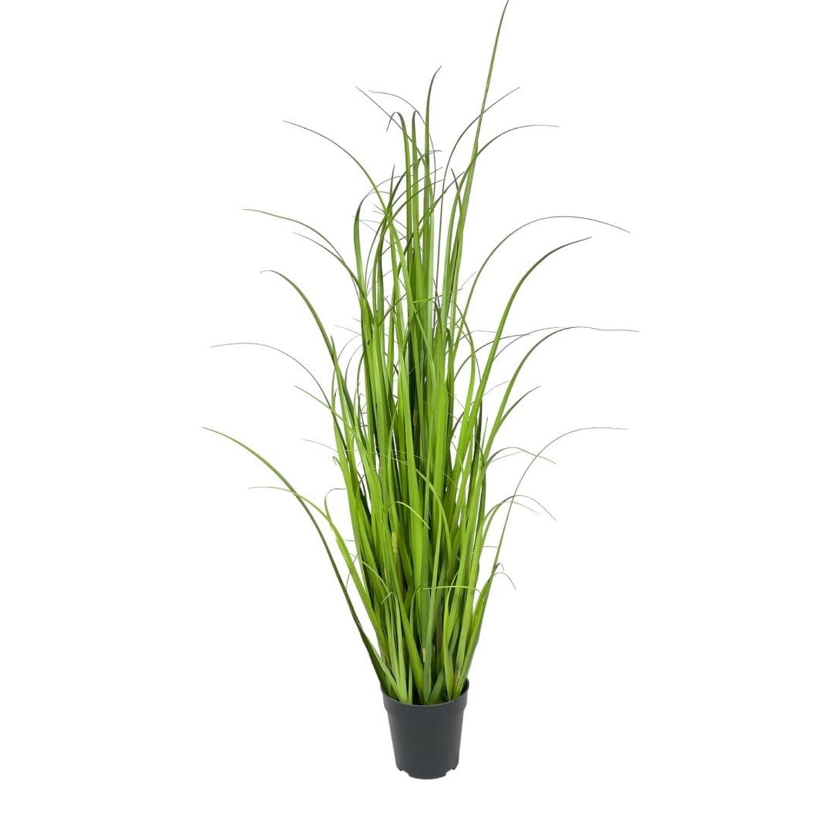 COREL - Pasto Crespo 122cm Artificial - Estilo Natural para Interiores y Vitrinas