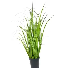 COREL - Pasto Crespo 91cm Artificial - Estilo Natural para Interiores y Vitrinas