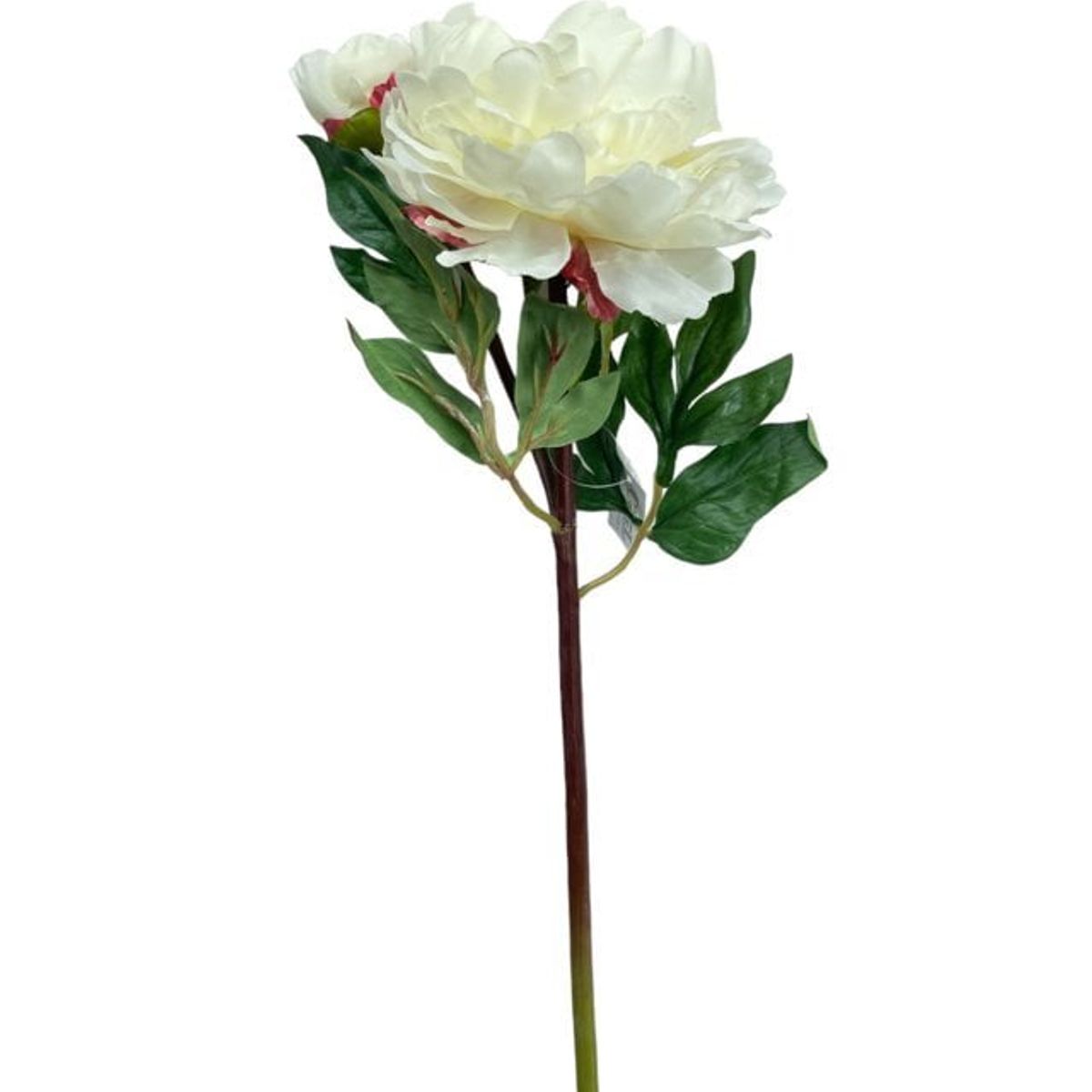 COREL - Peonía Blanca Con Botón 54cm Artificial - Estilo Natural para Interiores y Vitrinas