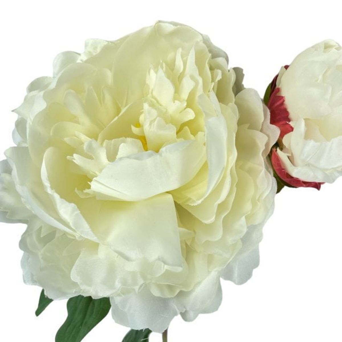 COREL - Peonía Blanca Con Botón 54cm Artificial - Estilo Natural para Interiores y Vitrinas