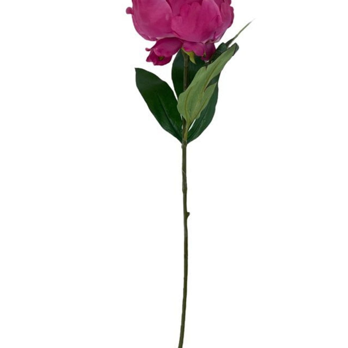 COREL - Peonía Fucsia Simple 45cm Artificial - Estilo Natural para Interiores y Vitrinas