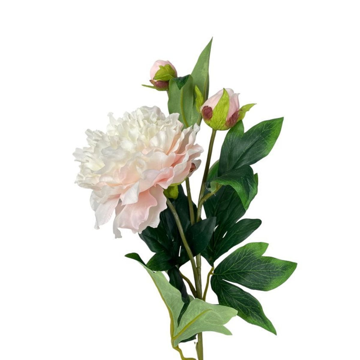 COREL - Peonía Grande Con Botón 84cm Artificial - Estilo Natural para Interiores y Vitrinas