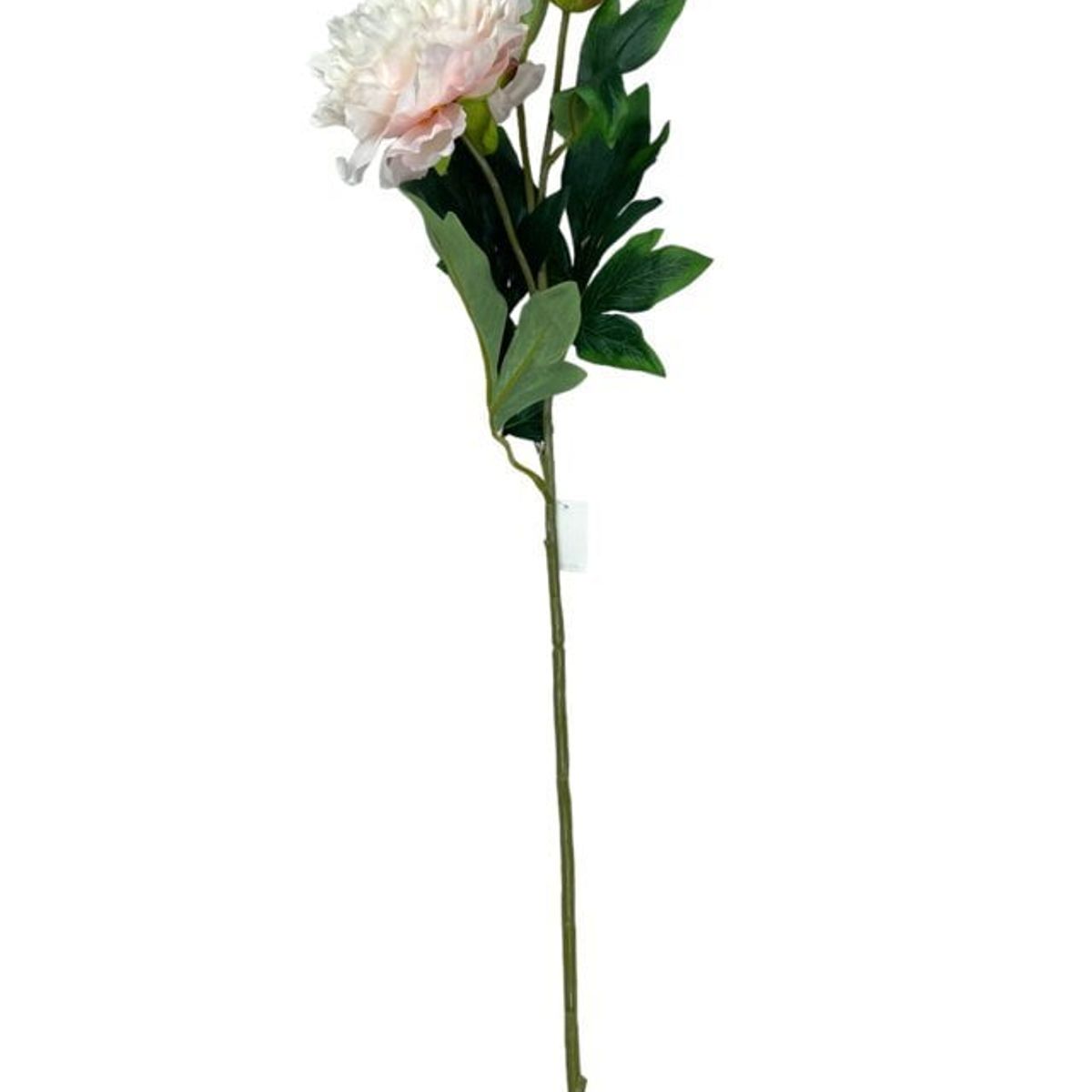 COREL - Peonía Grande Con Botón 84cm Artificial - Estilo Natural para Interiores y Vitrinas