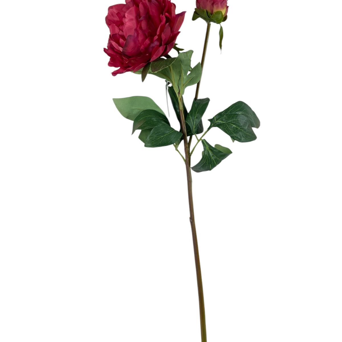 COREL - Peonía Roja con Botón 61 cm Artificial - Estilo Natural para Interiores y Vitrinas