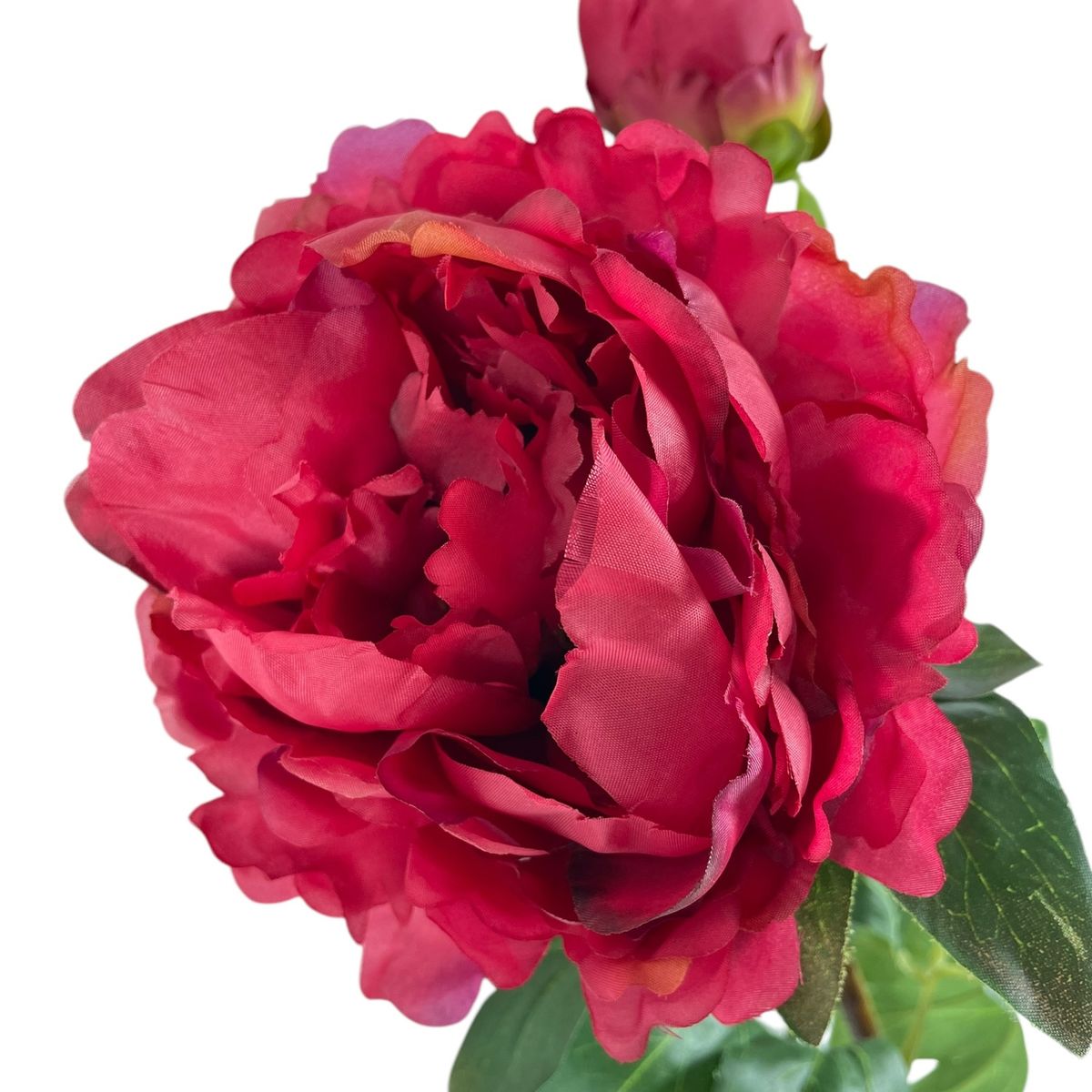 COREL - Peonía Roja con Botón 61 cm Artificial - Estilo Natural para Interiores y Vitrinas