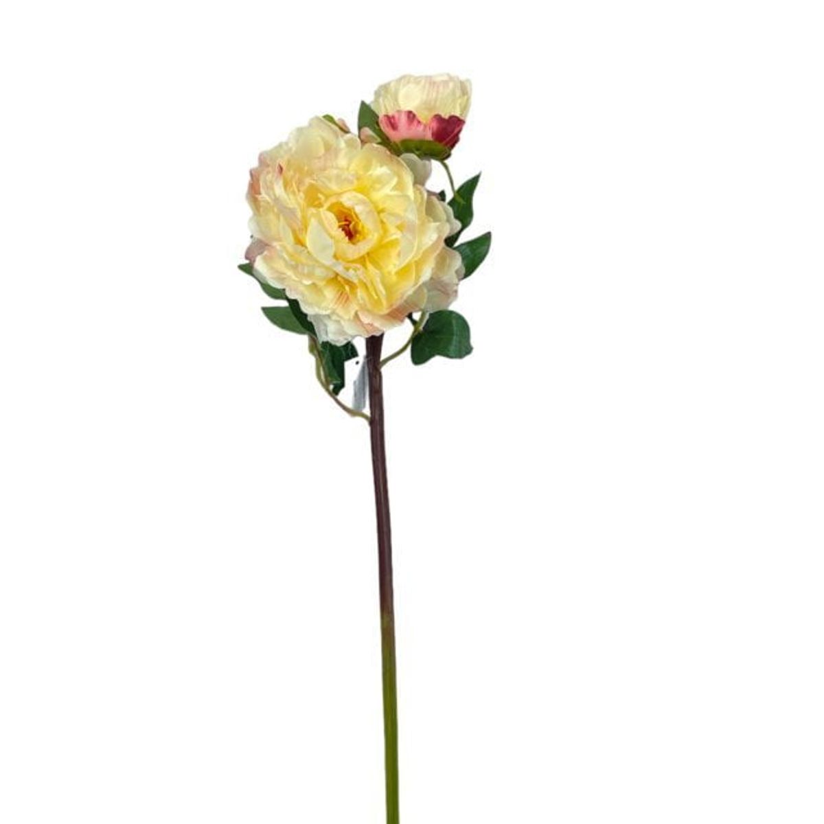 COREL - Peonía Rosa Clara Con Botón 54cm Artificial - Estilo Natural para Interiores y Vitrinas