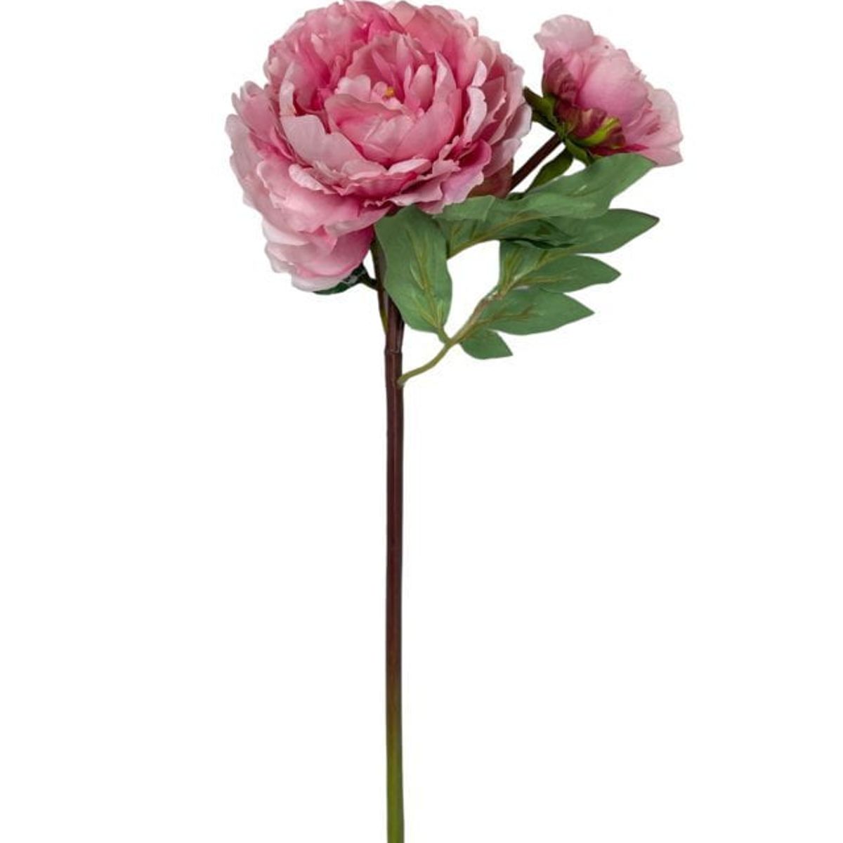 COREL - Peonia Rosa Con Botón 54cm Artificial - Estilo Natural para Interiores y Vitrinas