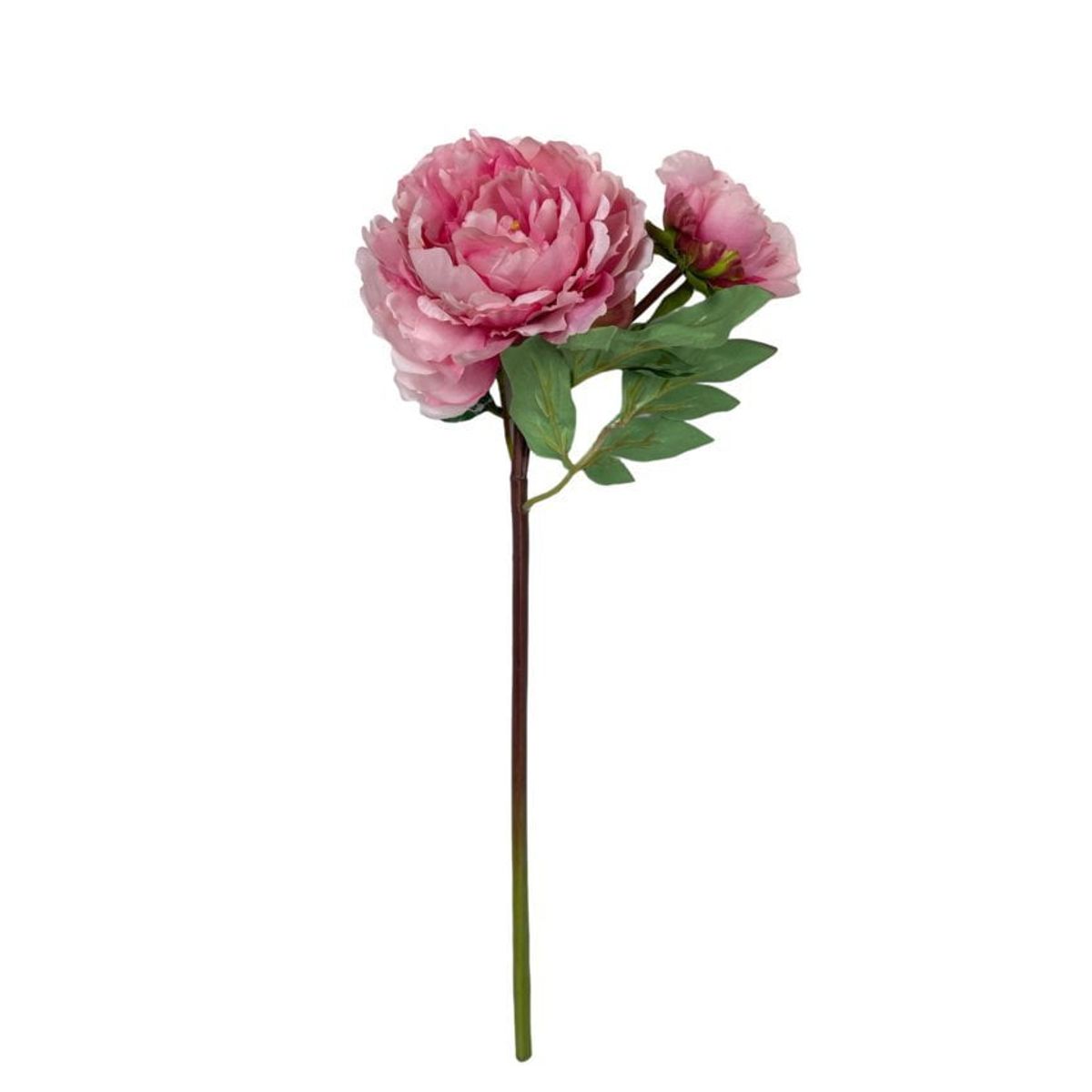 COREL - Peonia Rosa Con Botón 54cm Artificial - Estilo Natural para Interiores y Vitrinas