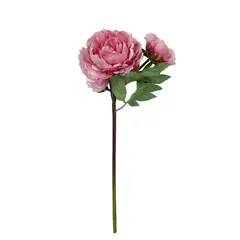 COREL - Peonia Rosa Con Botón 54cm Artificial - Estilo Natural para Interiores y Vitrinas