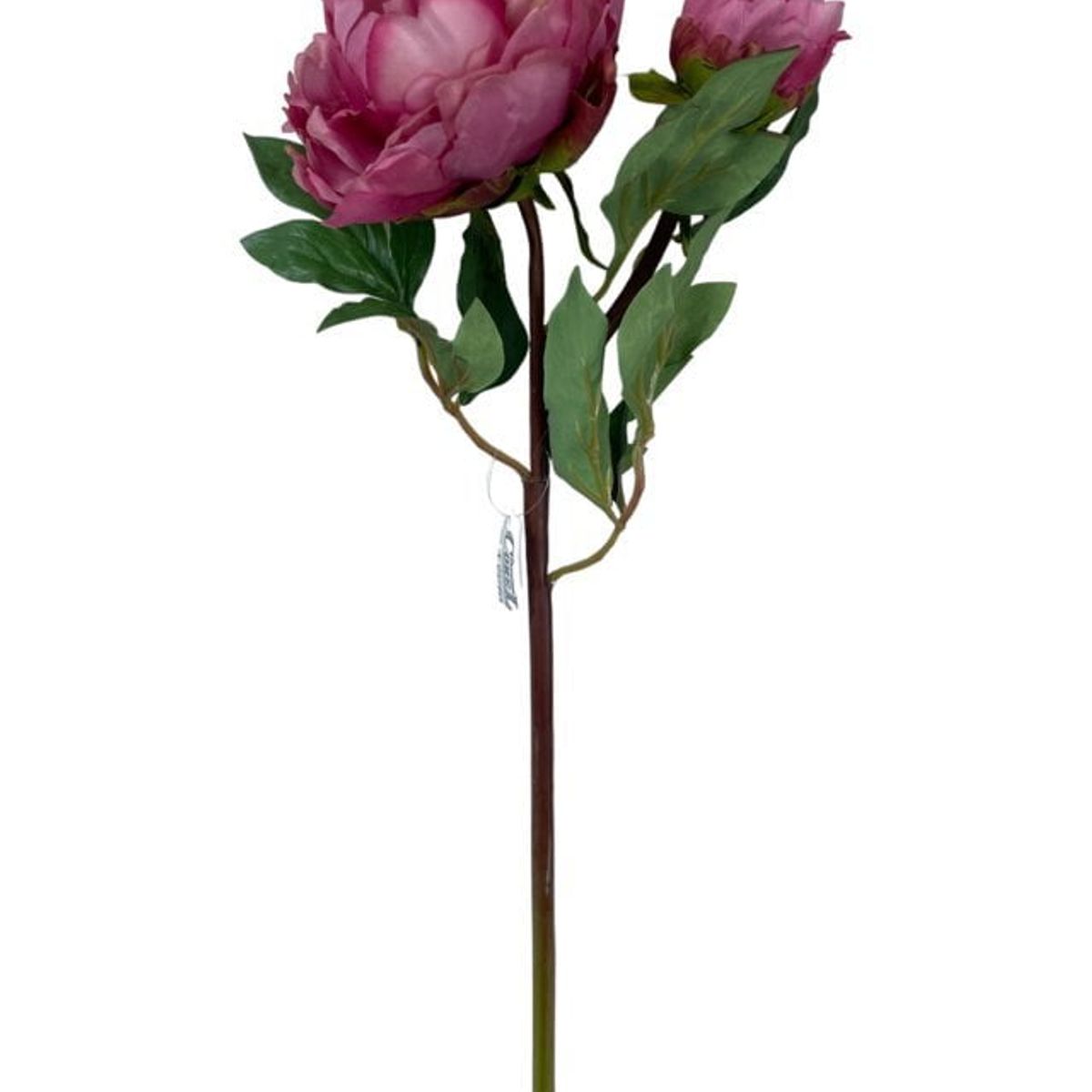 COREL - Peonía Rosa Oscuro Con Botón 54cm Artificial - Estilo Natural para Interiores y Vitrinas