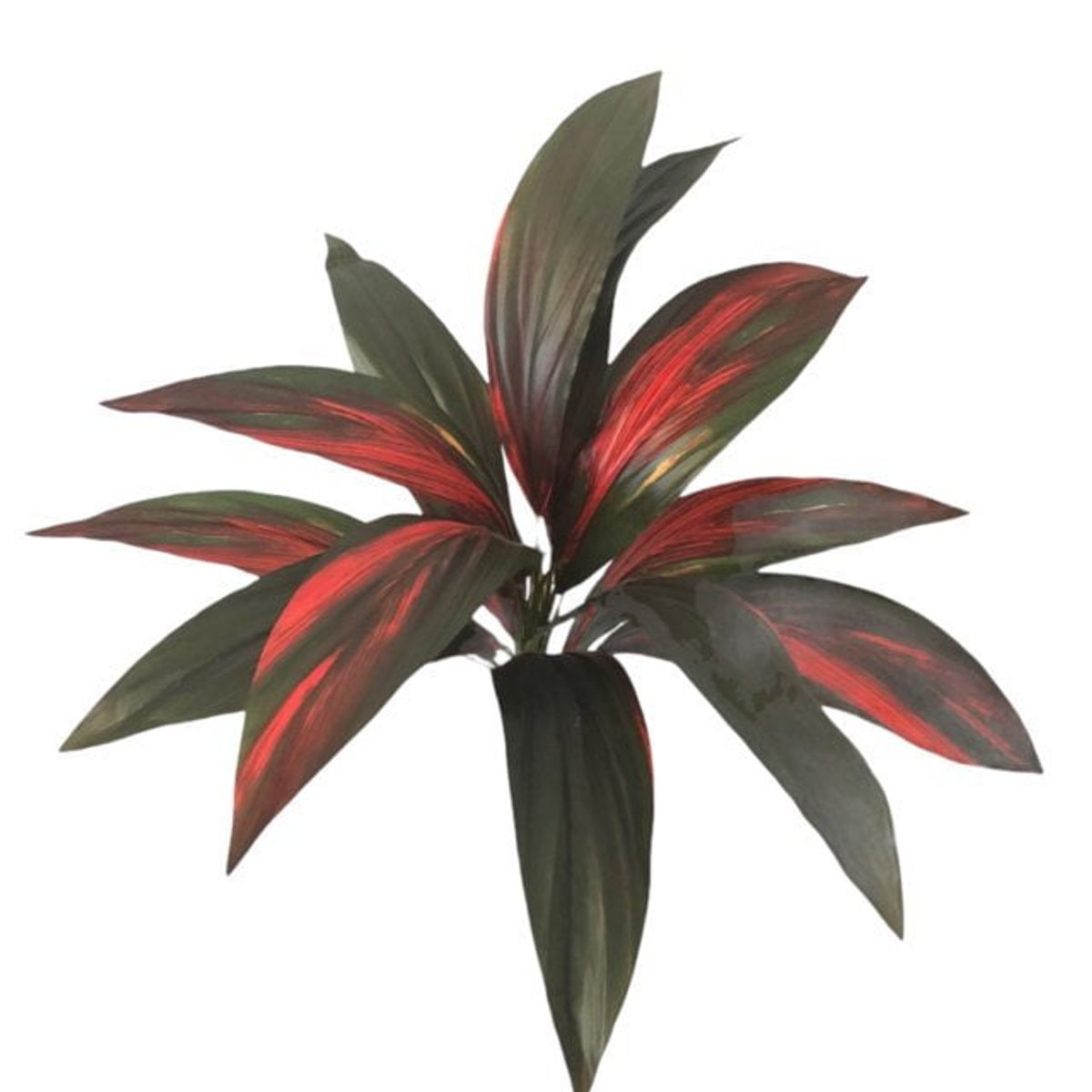 COREL - Planta Cordyline 56cm Artificial - Estilo Natural para Interiores y Vitrinas
