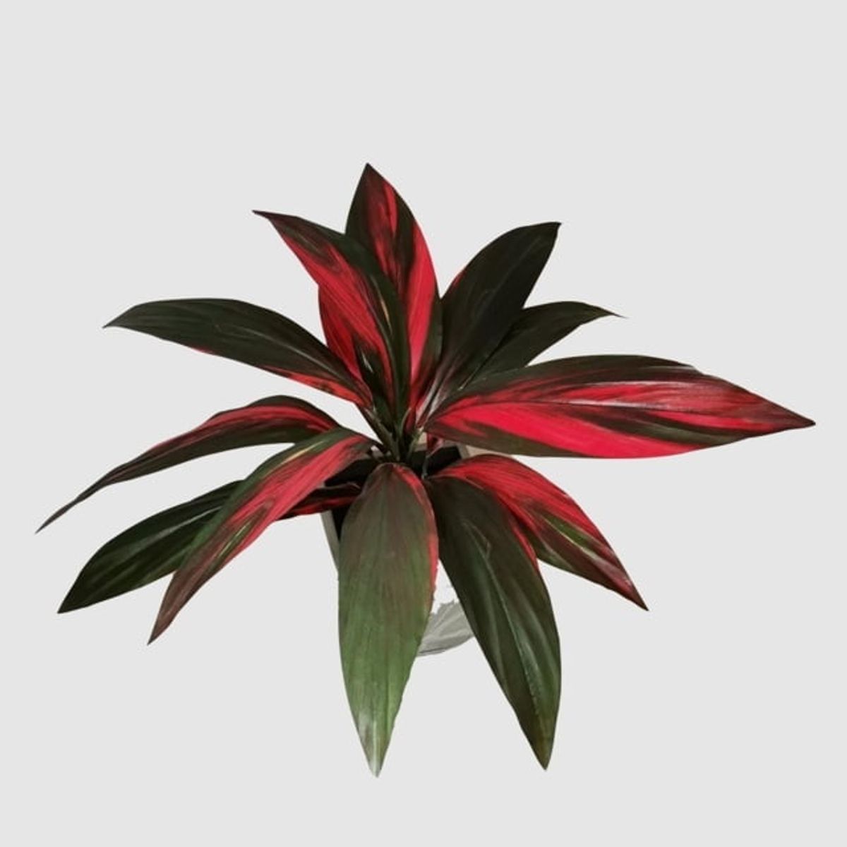 COREL - Planta Cordyline 56cm Artificial - Estilo Natural para Interiores y Vitrinas