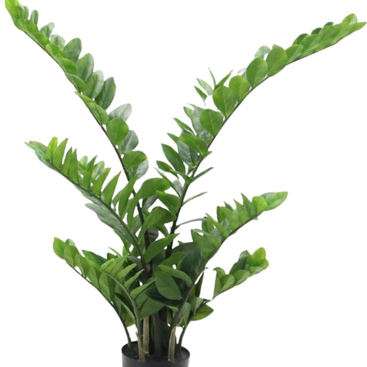 COREL - Planta Zamifolia 110cm Artificial - Estilo Natural para Interiores y Vitrinas