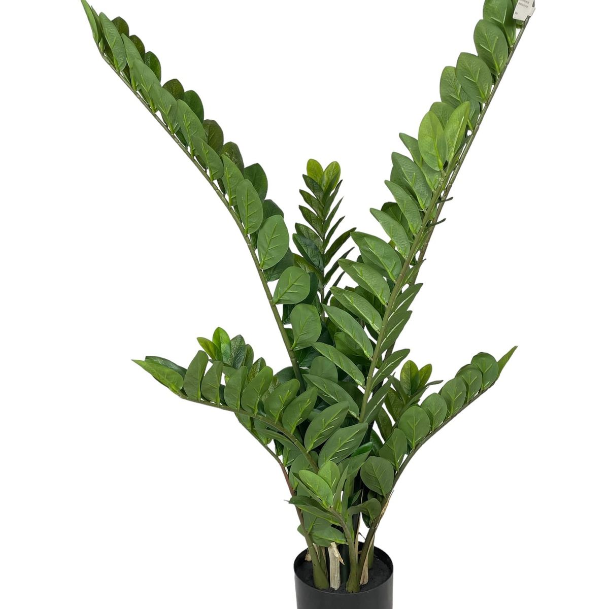 COREL - Planta Zamifolia 110cm Artificial - Estilo Natural para Interiores y Vitrinas