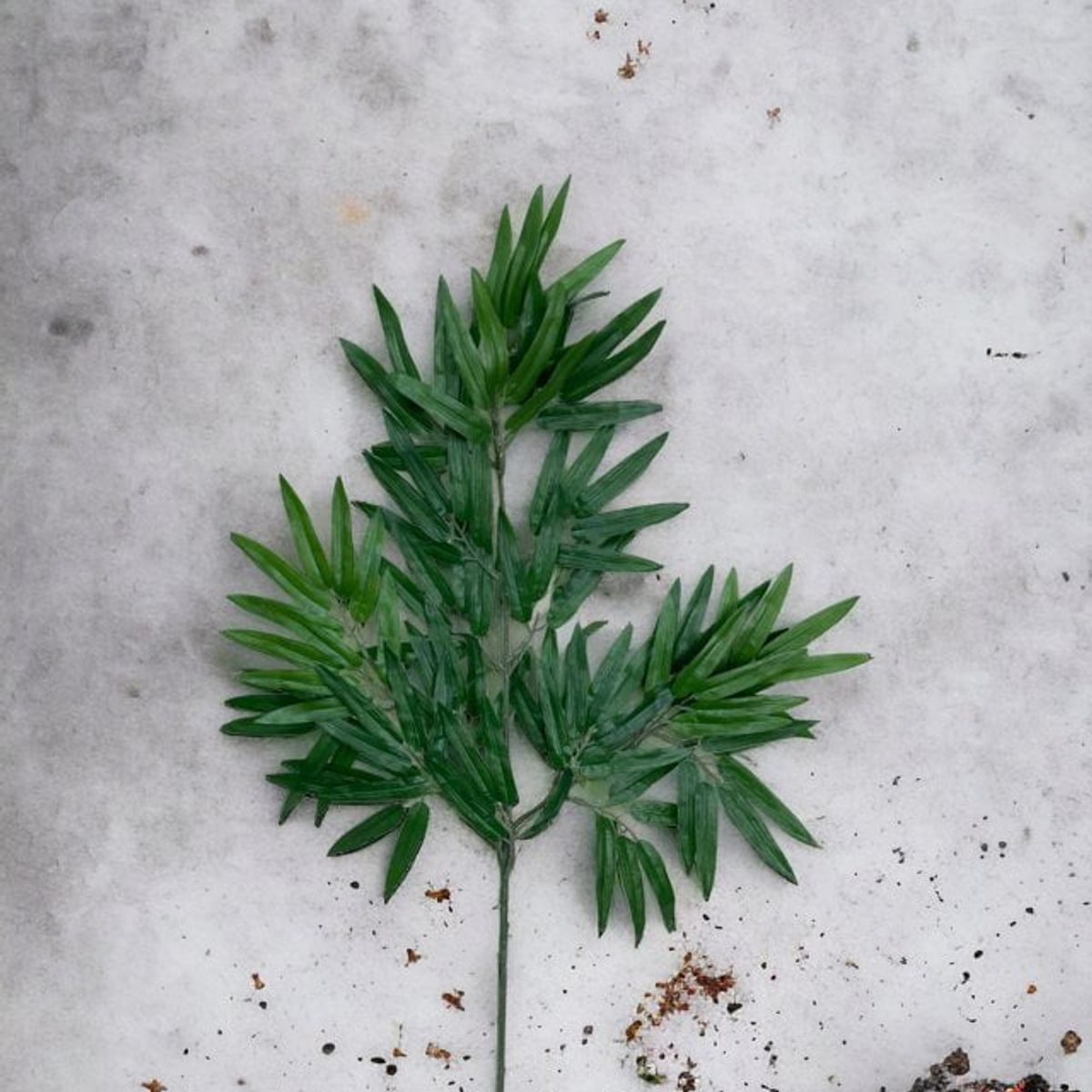 COREL - Rama Artificial Bambú Artificial - Estilo Natural para Interiores y Vitrinas