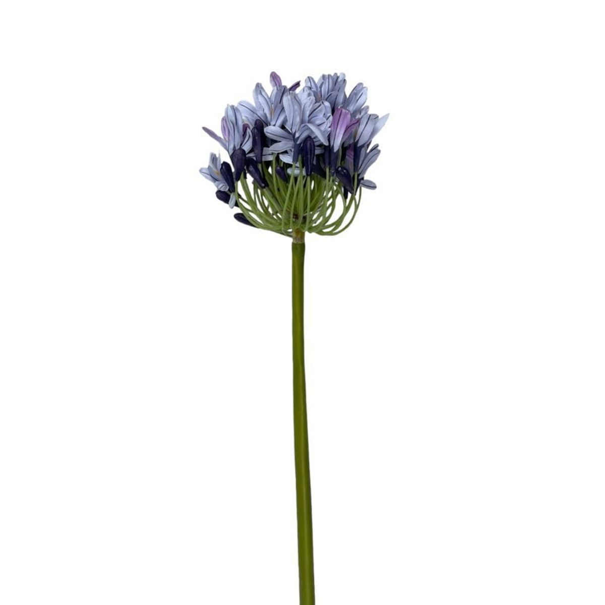 COREL - Rama Artificial de Agapanto Lila 89cm Artificial - Estilo Natural para Interiores y Vitrinas