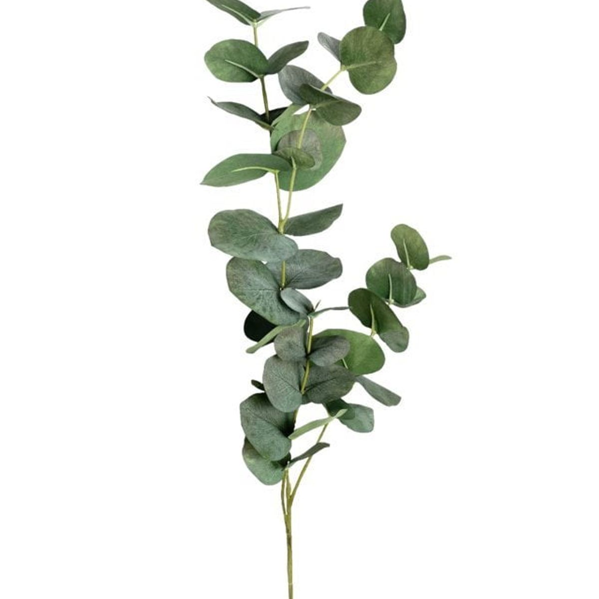 COREL - Rama Artificial de Eucalipto 79cm Artificial - Estilo Natural para Interiores y Vitrinas