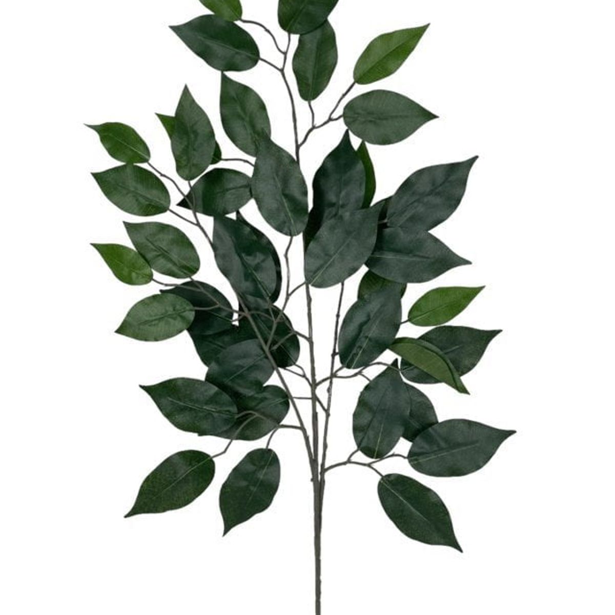 COREL - Rama Artificial De Ficus 50cm Artificial - Estilo Natural para Interiores y Vitrinas