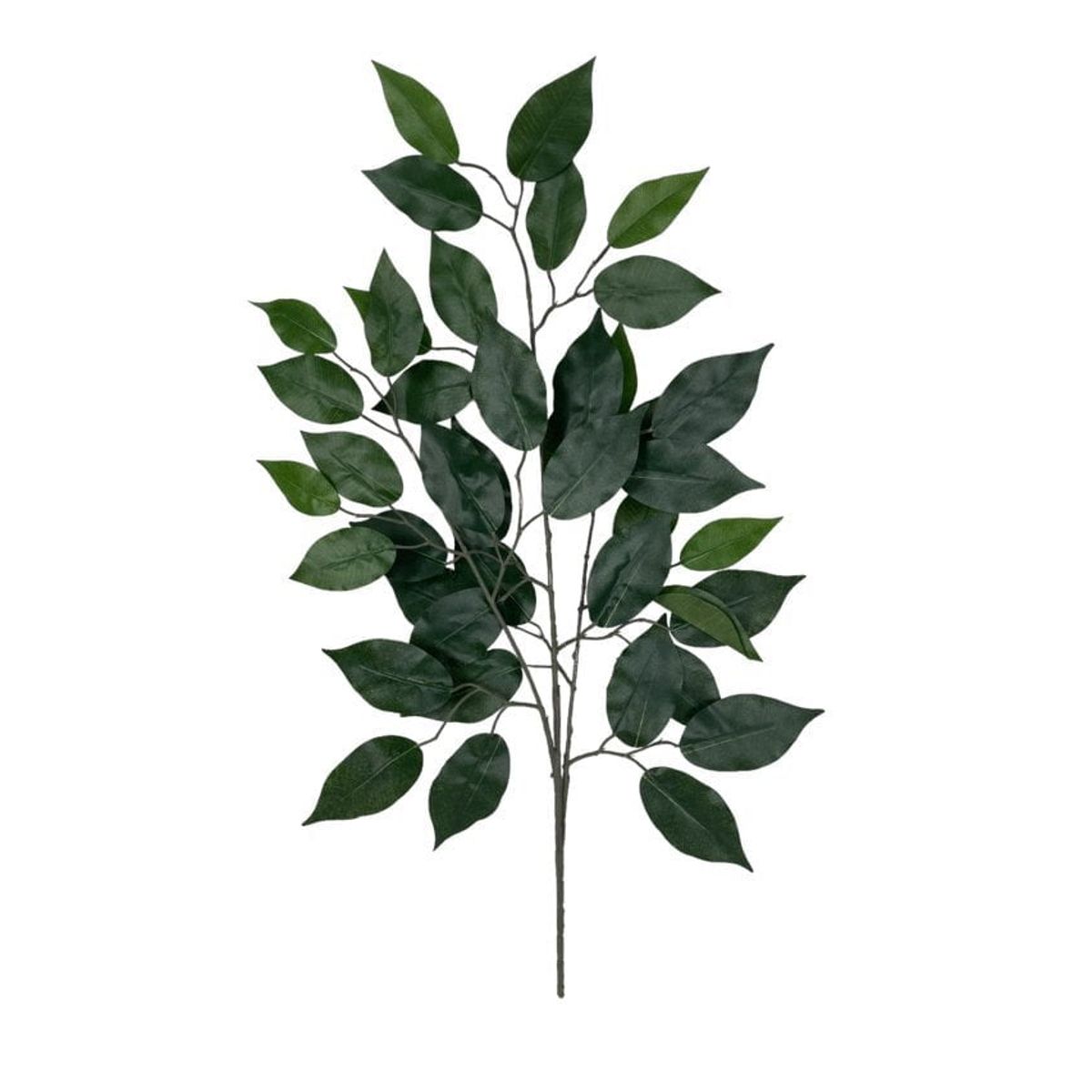 COREL - Rama Artificial De Ficus 50cm Artificial - Estilo Natural para Interiores y Vitrinas