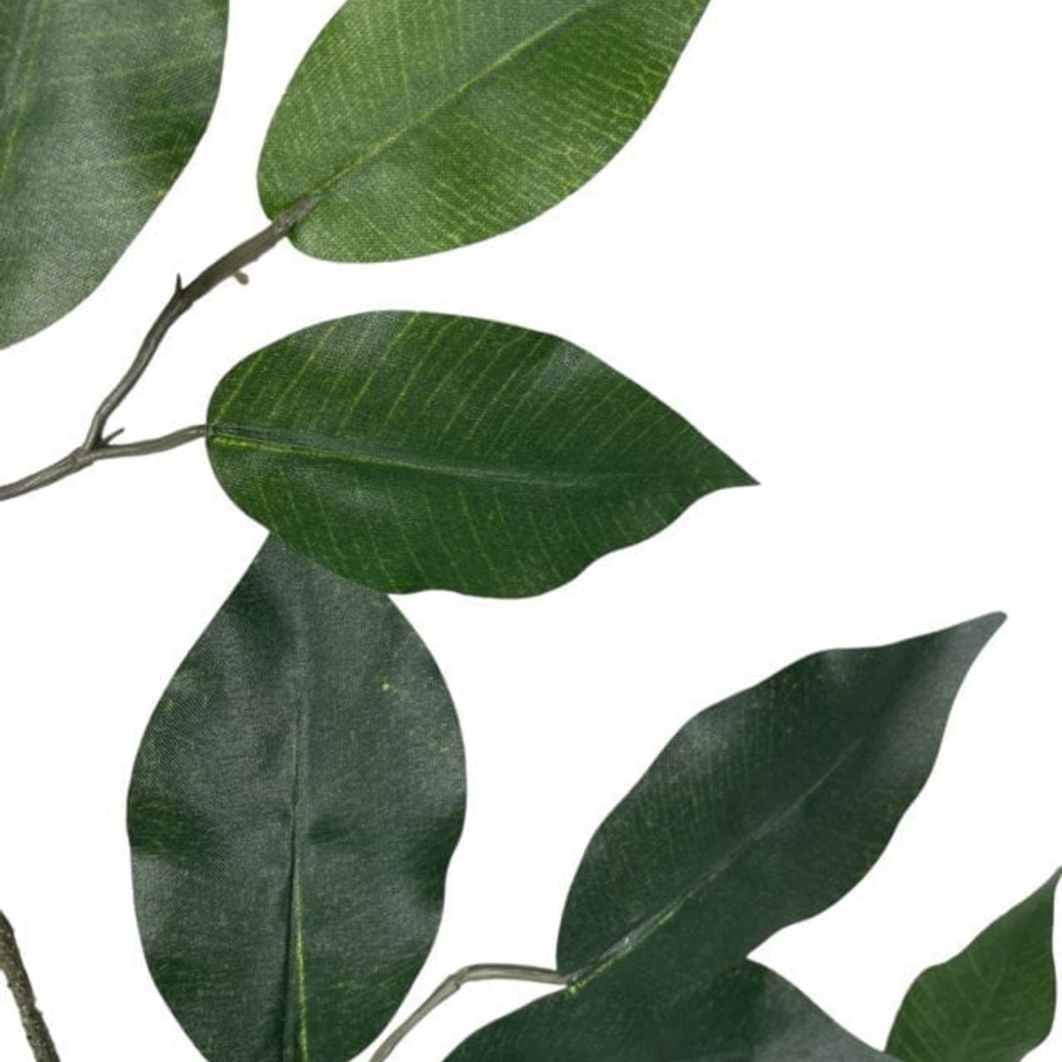 COREL - Rama Artificial De Ficus 50cm Artificial - Estilo Natural para Interiores y Vitrinas