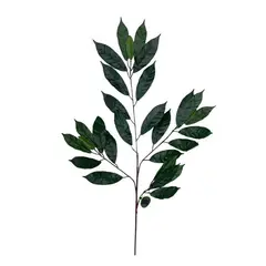 COREL - Rama Artificial de Ficus Verde-Mauve 50cm Artificial - Estilo Natural para Interiores y Vitrinas