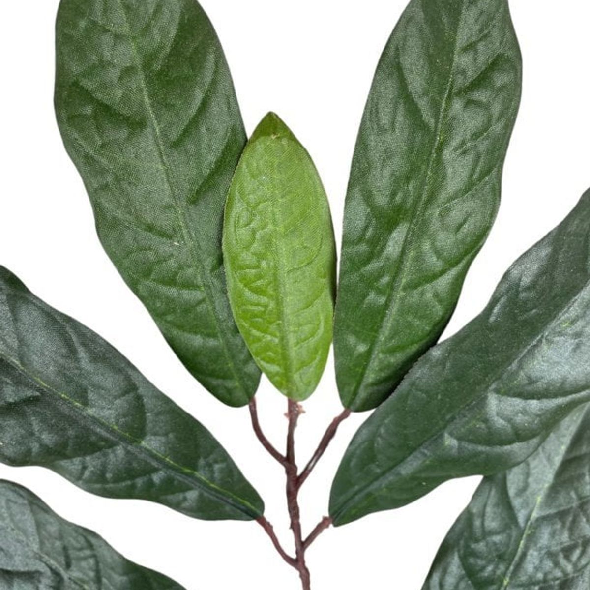 COREL - Rama Artificial de Ficus Verde-Mauve 50cm Artificial - Estilo Natural para Interiores y Vitrinas