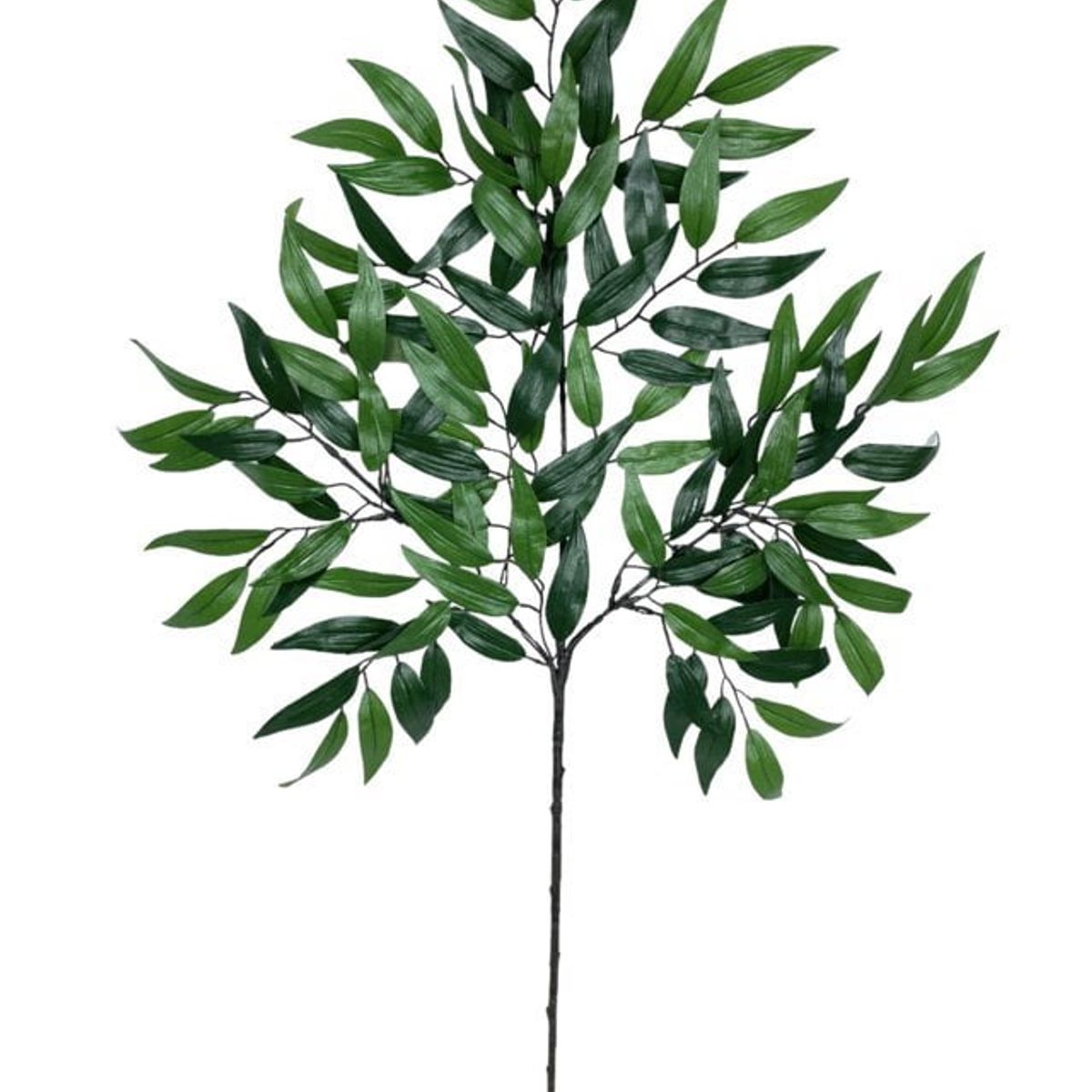 COREL - Rama Artificial de Hojas Ruscus 50cm Artificial - Estilo Natural para Interiores y Vitrinas