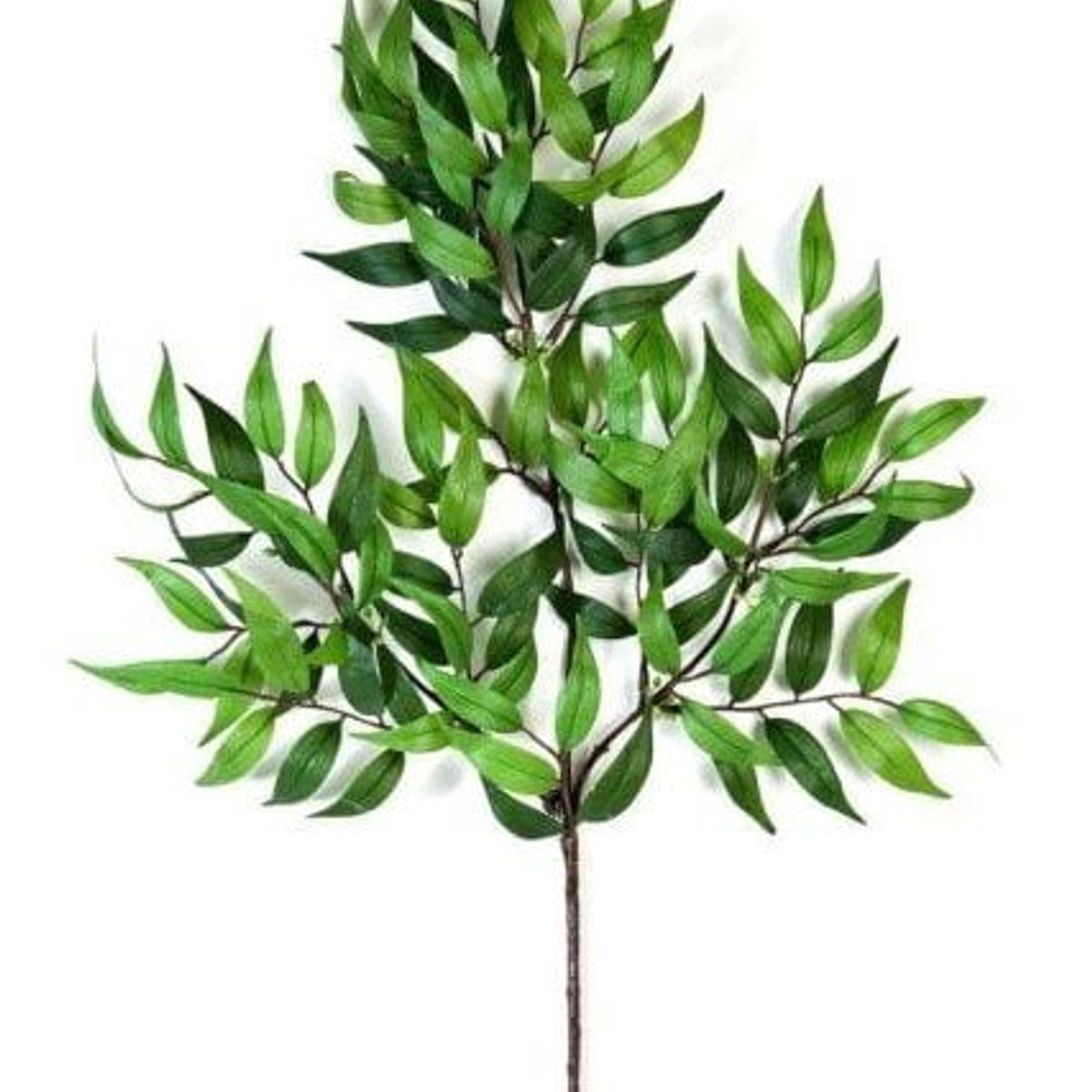 COREL - Rama Artificial de Hojas Ruscus 50cm Artificial - Estilo Natural para Interiores y Vitrinas