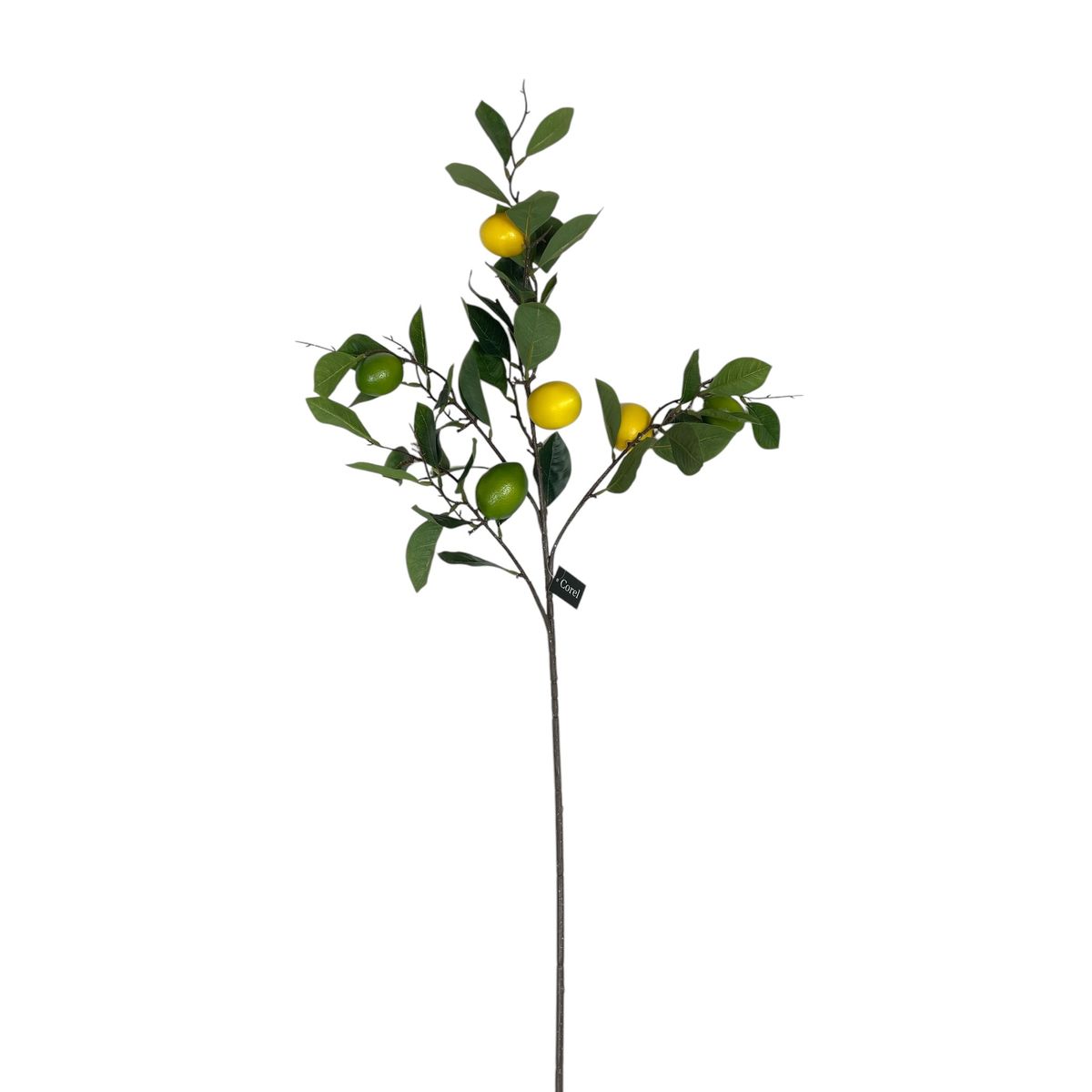 COREL - Rama Artificial de Limon Corel 95cm Artificial - Estilo Natural para Interiores y Vitrinas