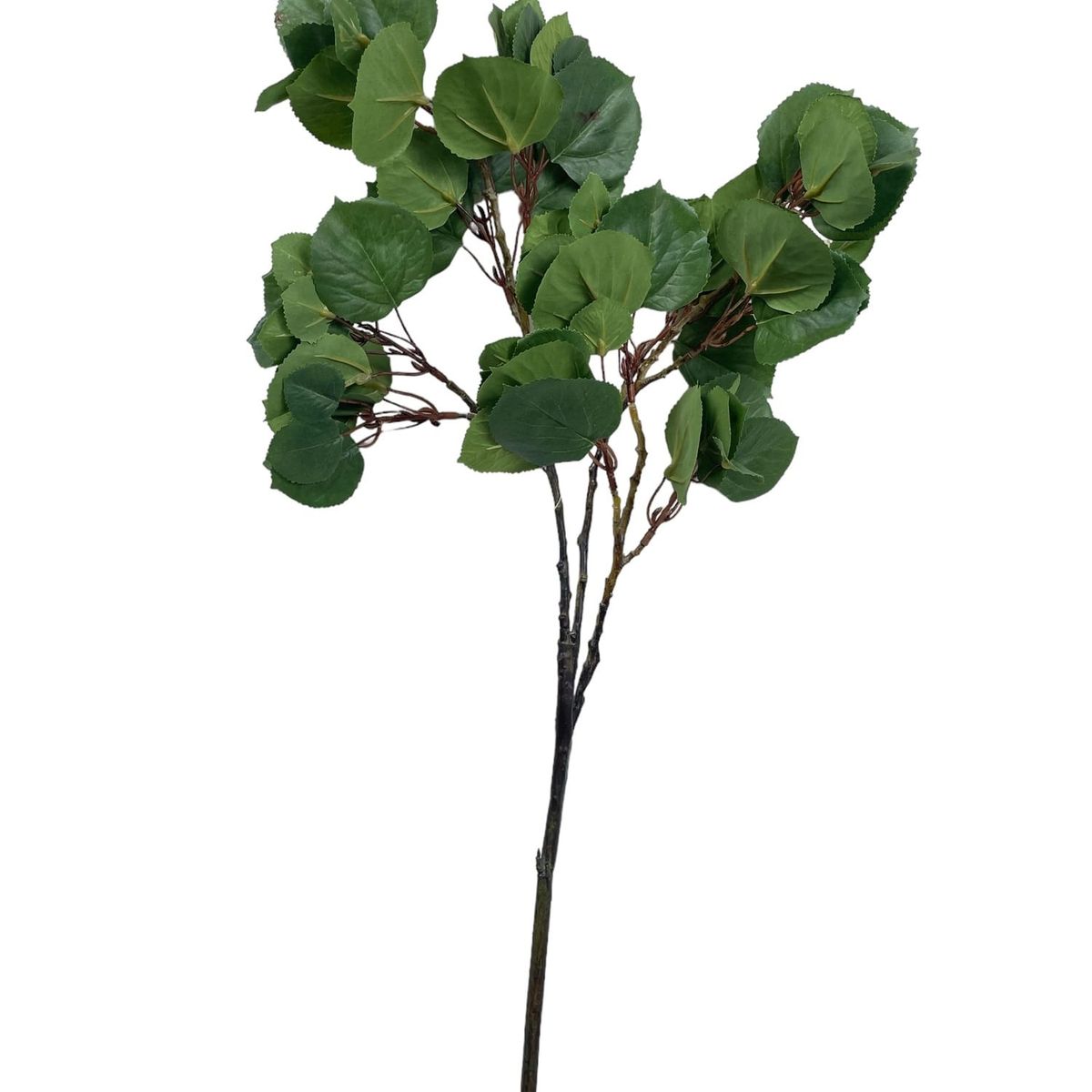 COREL - Rama Artificial Hoja Redonda 70cm Artificial - Estilo Natural para Interiores y Vitrinas