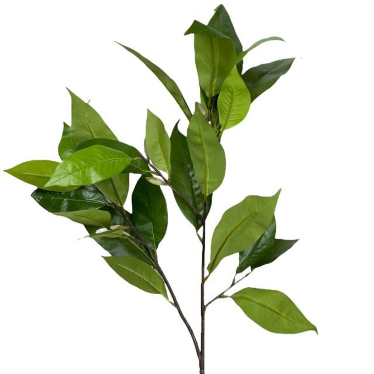 COREL - Rama Artificial Hojas Magnolia Verde 104cm Artificial - Estilo Natural para Interiores y Vitrinas