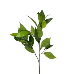 COREL - Rama Artificial Hojas Magnolia Verde 104cm Artificial - Estilo Natural para Interiores y Vitrinas