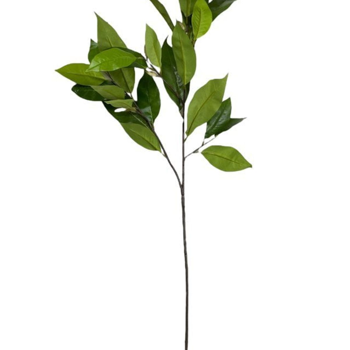 COREL - Rama Artificial Hojas Magnolia Verde 104cm Artificial - Estilo Natural para Interiores y Vitrinas
