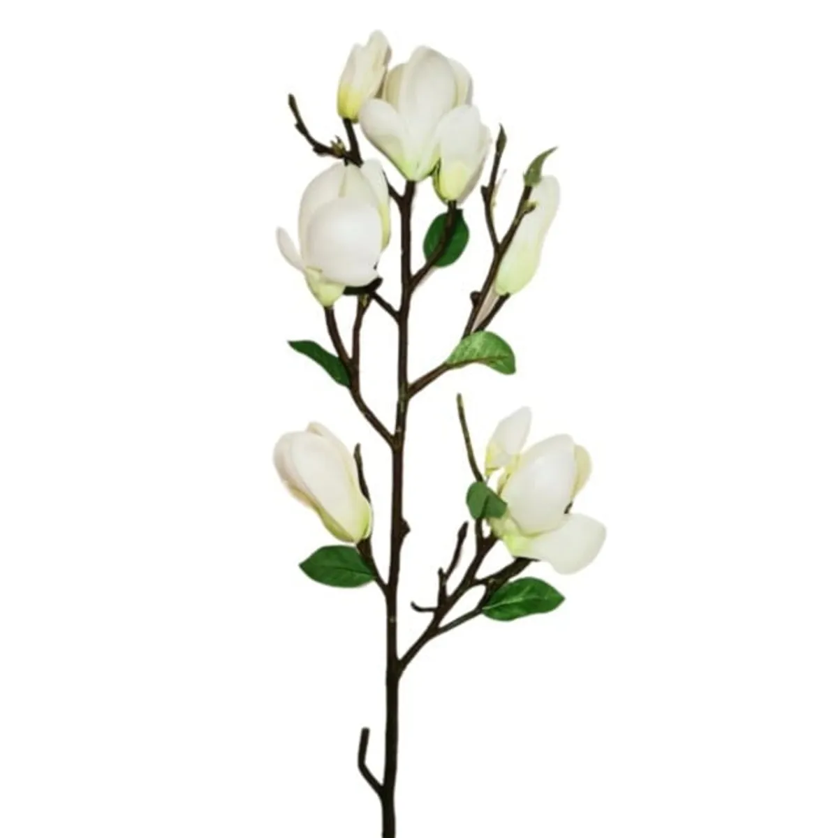 COREL - Rama Artificial Magnolia Blanca 84cm Artificial - Estilo Natural para Interiores y Vitrinas
