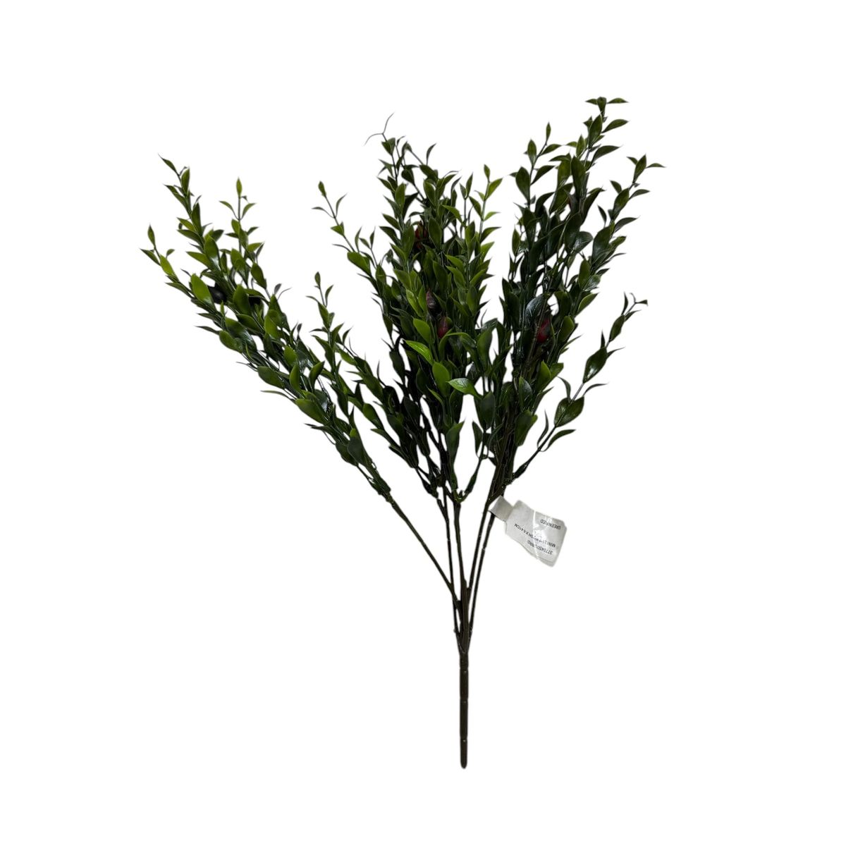 COREL - Ramo Box Con Fruto Rojo Artificial - Estilo Natural para Interiores y Vitrinas