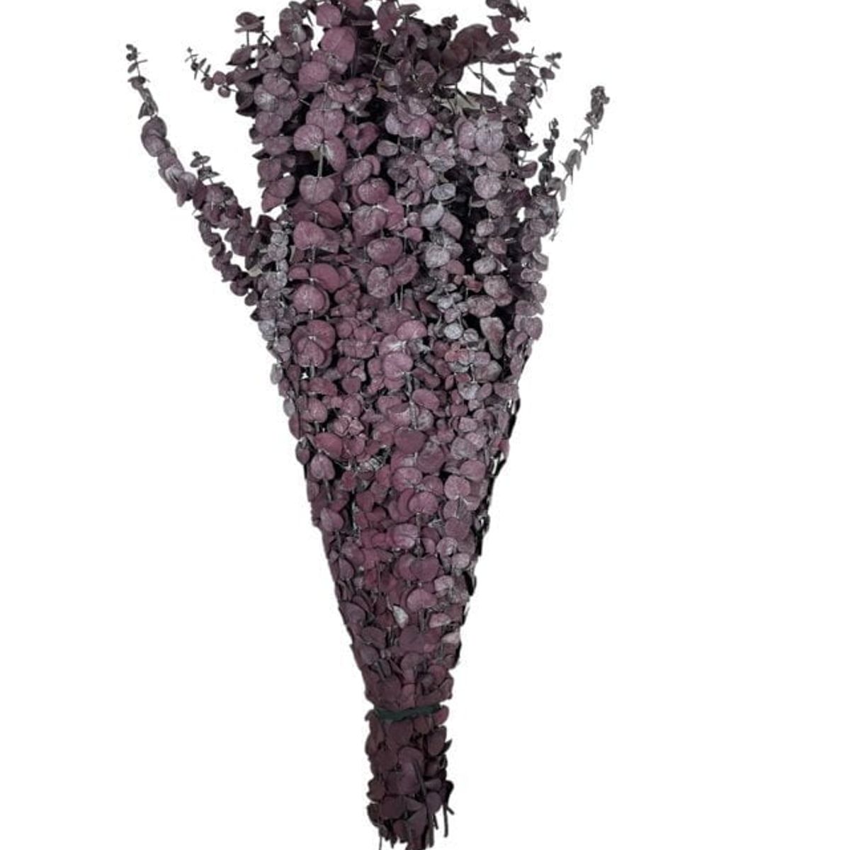 COREL - Ramo de Eucalipto Seco Negro Artificial - Estilo Natural para Interiores y Vitrinas