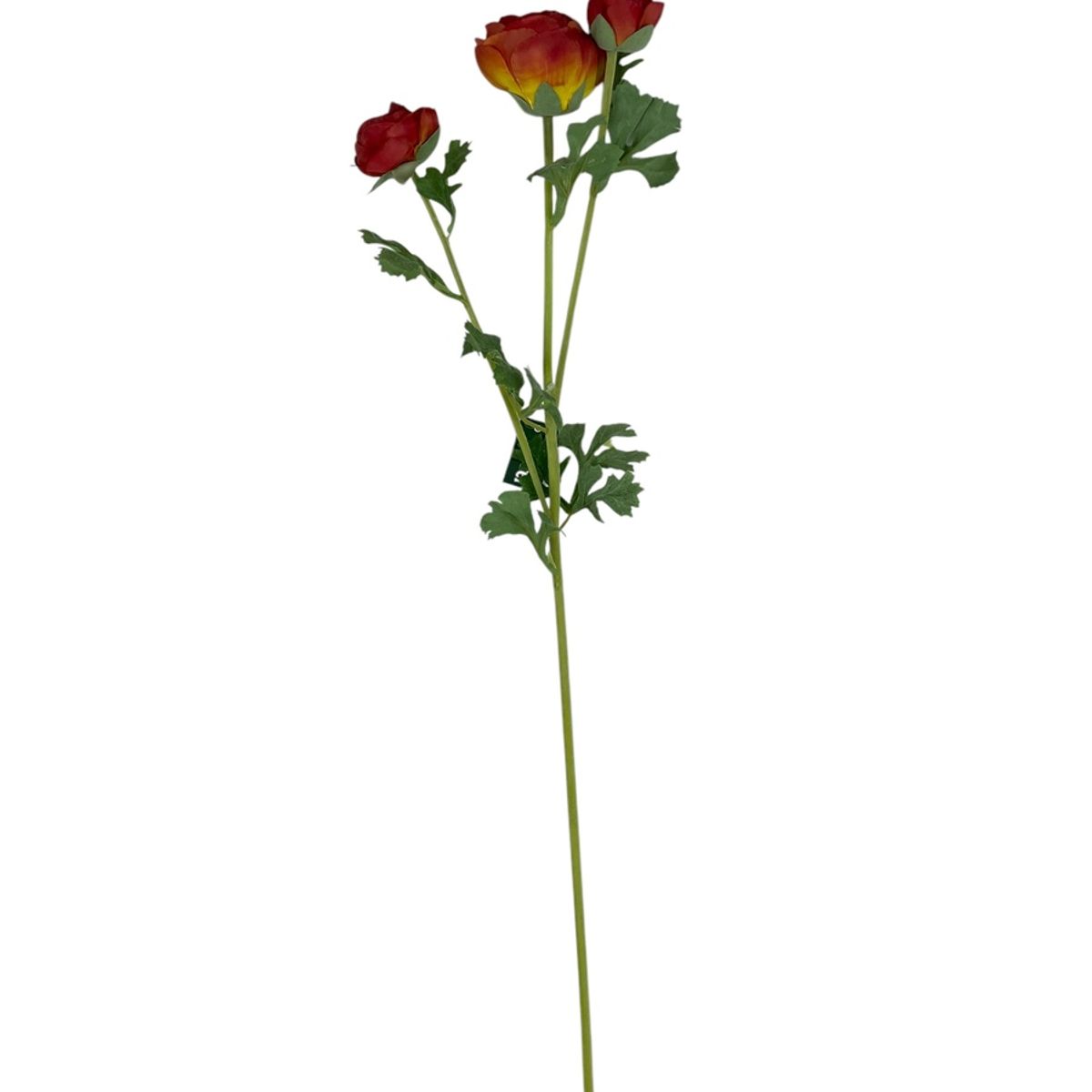 COREL - Renúnculo Rojo 73cm Artificial - Estilo Natural para Interiores y Vitrinas