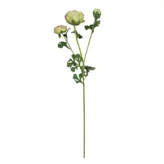 COREL - Renúnculo Verde Rosa 73cm Artificial - Estilo Natural para Interiores y Vitrinas