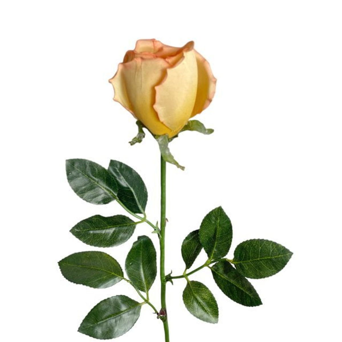 COREL - Rosa Mauve-Salmon 75cm Artificial - Estilo Natural para Interiores y Vitrinas