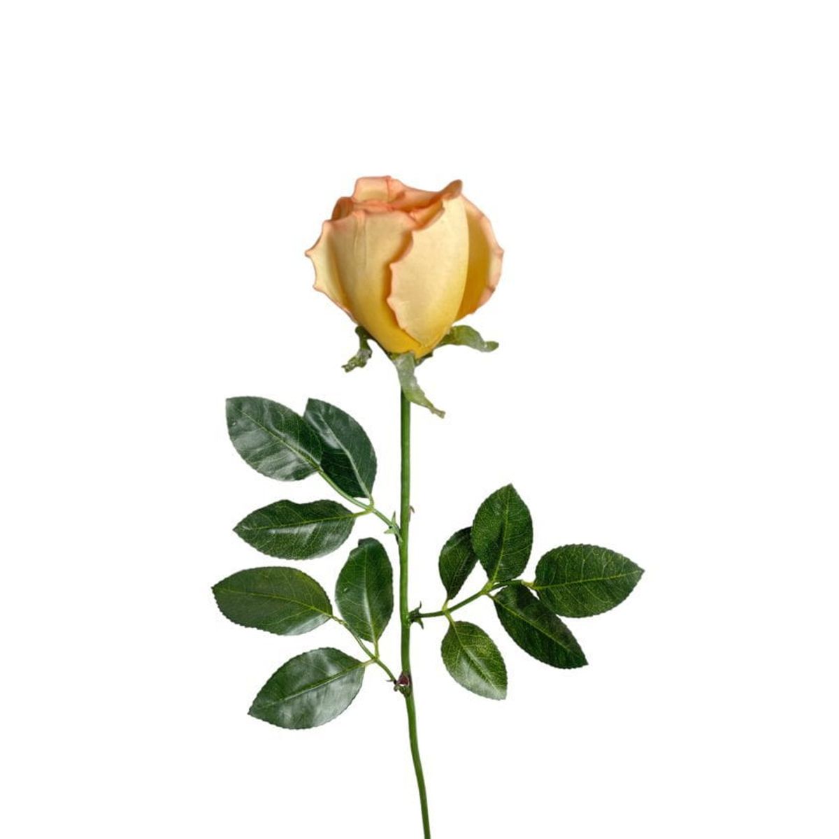 COREL - Rosa Mauve-Salmon 75cm Artificial - Estilo Natural para Interiores y Vitrinas