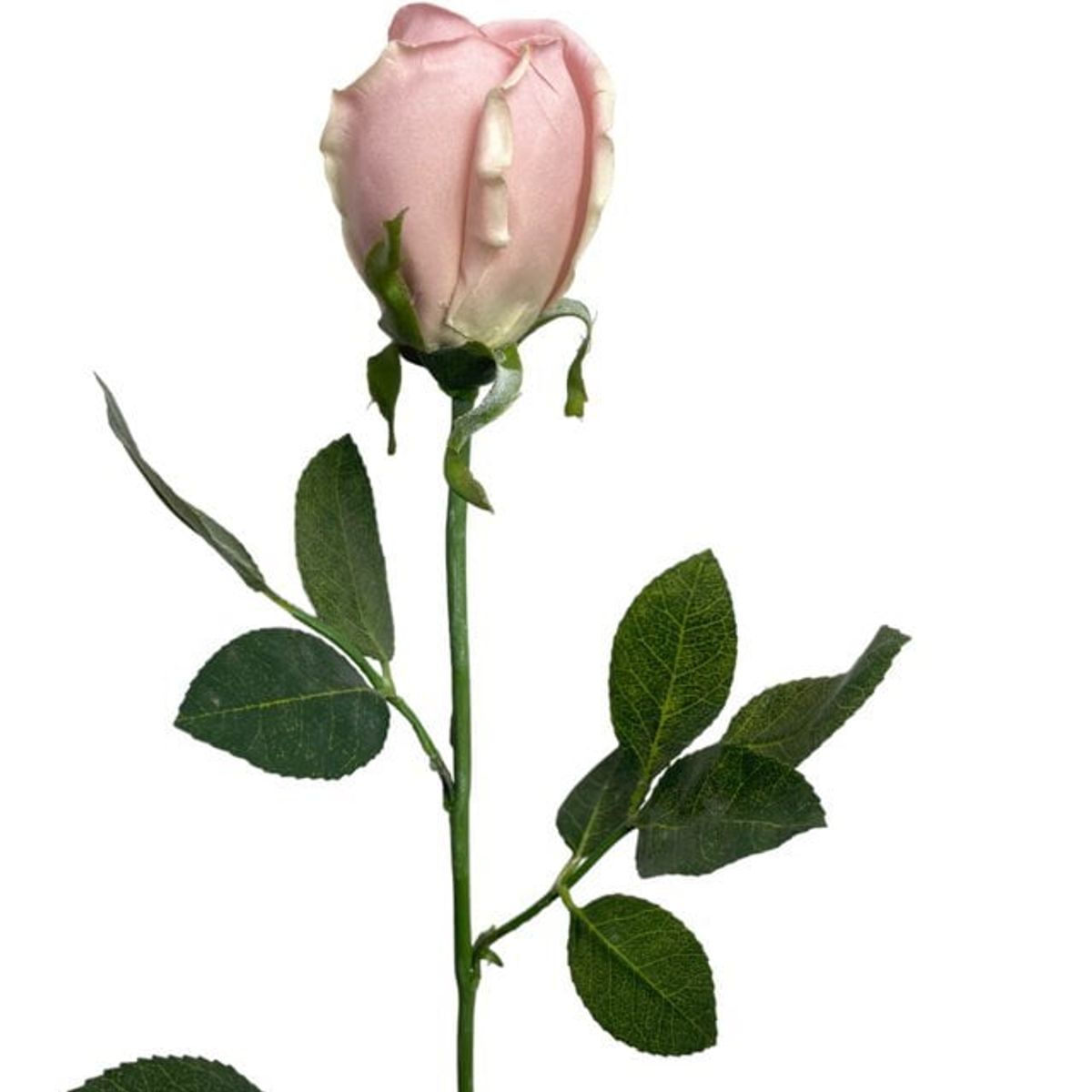 COREL - Rosa Rosada 75cm Artificial - Estilo Natural para Interiores y Vitrinas